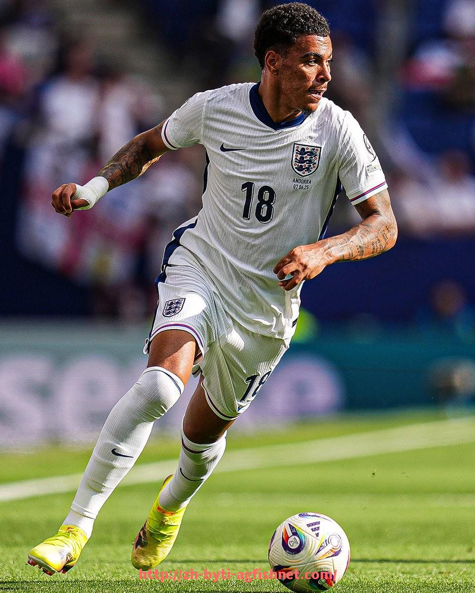 AG捕鱼王官网-AC米兰2002-2003赛季欧冠夺冠历程全解析