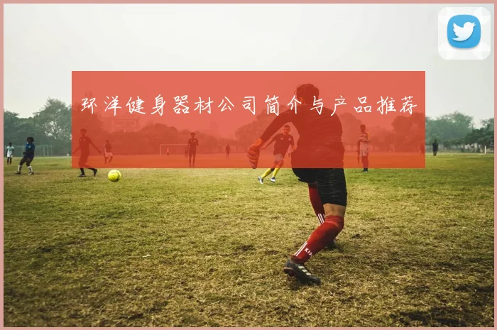 环洋健身器材公司简介与产品推荐