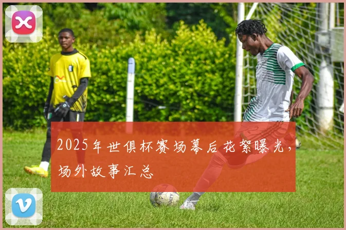 2025年世俱杯赛场幕后花絮曝光，场外故事汇总