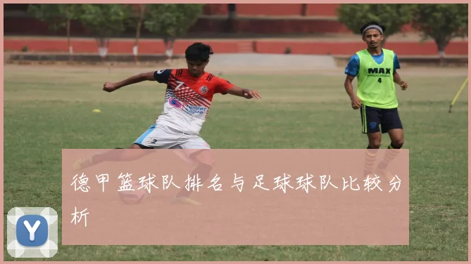 德甲篮球队排名与足球球队比较分析