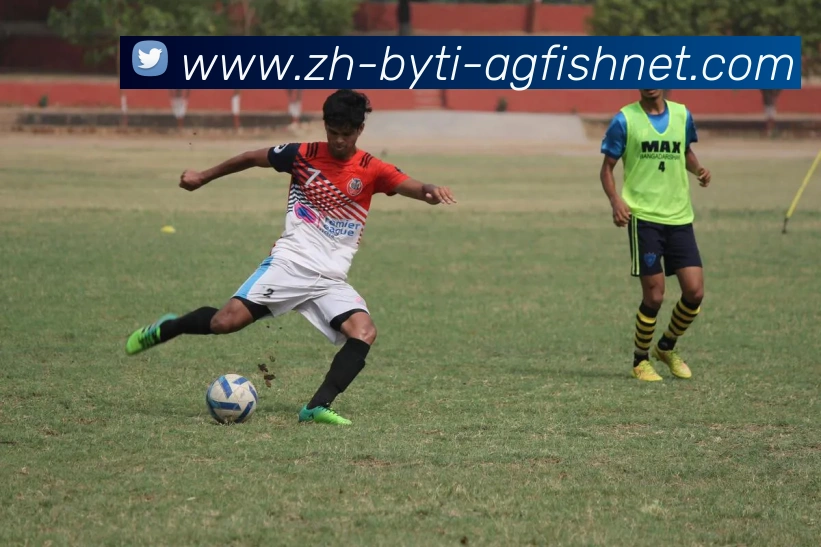 AG捕鱼王官网发展历程